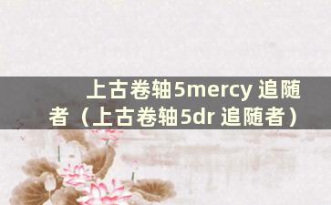 上古卷轴5mercy 追随者（上古卷轴5dr 追随者）